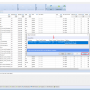 09-use-mervis-runtime-licence-en.png